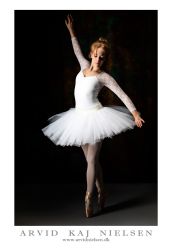 251123-0376gavin